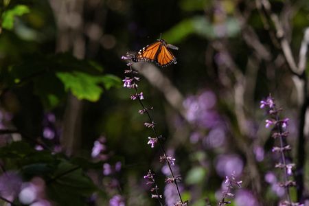 tagreuters.com2024binary_LYNXMPEKB90YV-VIEWIMAGE