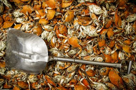 tagreuters.com2024binary_LYNXNPEK1L00B-VIEWIMAGE