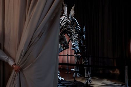 tagreuters.com2024binary_LYNXNPEKB40Y1-VIEWIMAGE