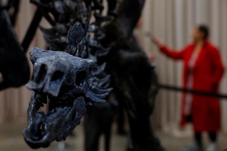 tagreuters.com2024binary_LYNXNPEKB40Y2-VIEWIMAGE