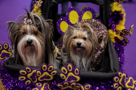 tagreuters.com2025binary_LYNXMPEL1B0EU-VIEWIMAGE