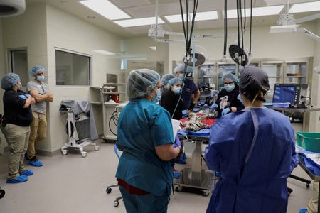 tagreuters.com2025binary_LYNXMPEL290C1-VIEWIMAGE