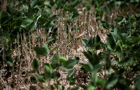 tagreuters.com2025binary_LYNXMPEL2K0E7-VIEWIMAGE