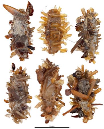 tagreuters.com2025binary_LYNXMPEL3O0MS-VIEWIMAGE