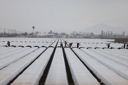 tagreuters.com2025binary_LYNXMPEL5T0C1-VIEWIMAGE