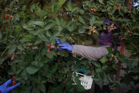 tagreuters.com2025binary_LYNXMPEL5T0CJ-VIEWIMAGE