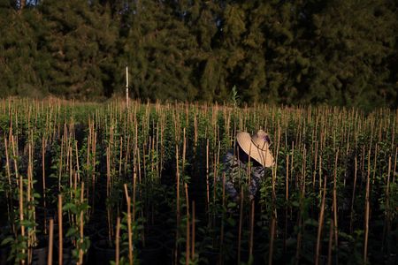 tagreuters.com2025binary_LYNXMPEL5T0CK-VIEWIMAGE