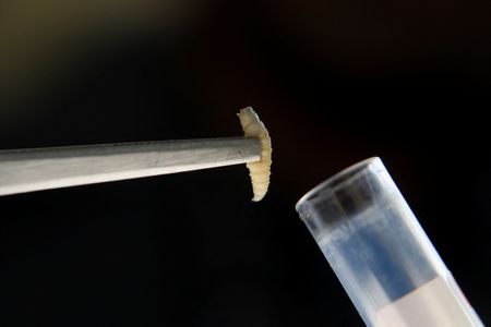 tagreuters.com2025binary_LYNXMPEL7E0G7-VIEWIMAGE