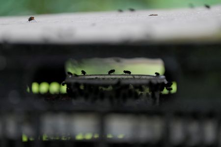 tagreuters.com2025binary_LYNXMPEL7E0G9-VIEWIMAGE