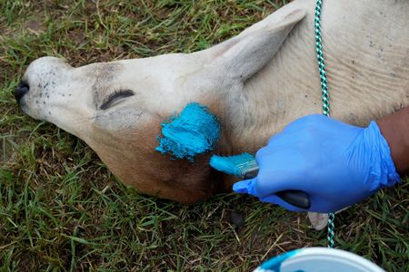 tagreuters.com2025binary_LYNXMPEL7E0GC-VIEWIMAGE