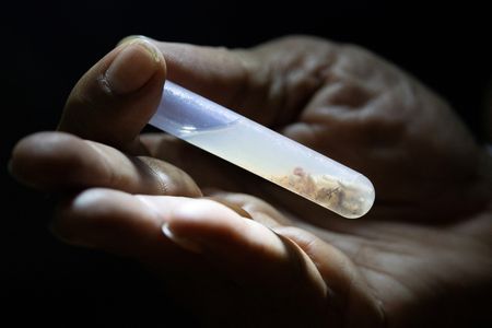 tagreuters.com2025binary_LYNXMPEL7E0GD-VIEWIMAGE