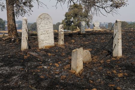 tagreuters.com2025binary_LYNXMPEL821C3-VIEWIMAGE