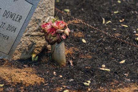 tagreuters.com2025binary_LYNXMPEL821CA-VIEWIMAGE