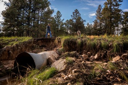 tagreuters.com2025binary_LYNXMPEL9L0FU-VIEWIMAGE