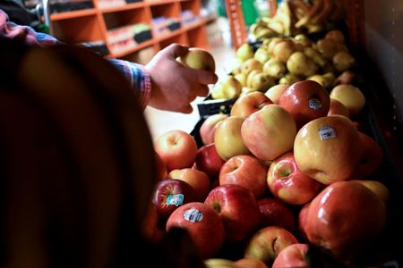 tagreuters.com2025binary_LYNXMPEL9M0UB-VIEWIMAGE