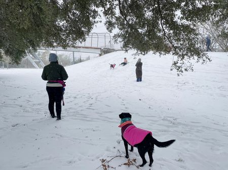 tagreuters.com2025binary_LYNXNPEL0K0SS-VIEWIMAGE