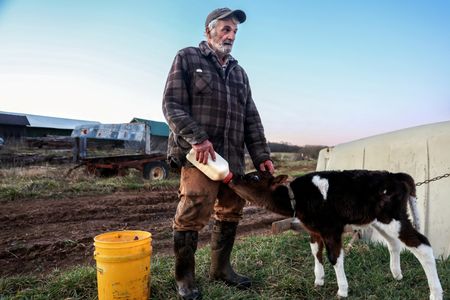 tagreuters.com2025binary_LYNXNPEL2S0BY-VIEWIMAGE