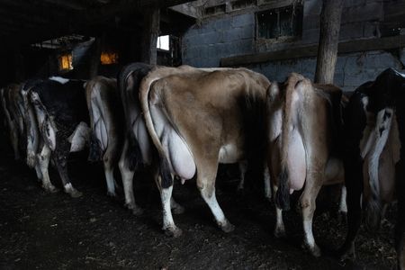 tagreuters.com2025binary_LYNXNPEL2S0CT-VIEWIMAGE