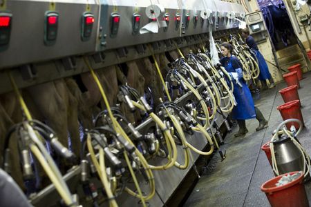 tagreuters.com2023binary_LYNXMPEJ6T00Z-VIEWIMAGE