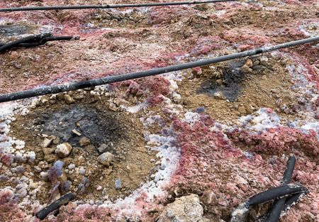 tagreuters.com2025binary_LYNXMPEL7I0MK-VIEWIMAGE