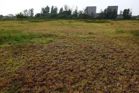 tagreuters.com2025binary_LYNXNPEL2O0RS-VIEWIMAGE