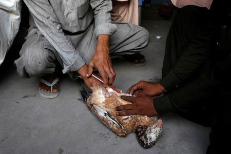 tagreuters.com2022binary_LYNXMPEI5D057-VIEWIMAGE