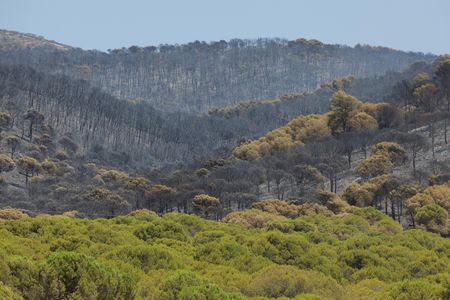 tagreuters.com2022binary_LYNXMPEI6G08U-VIEWIMAGE