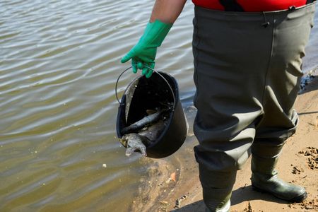 tagreuters.com2022binary_LYNXMPEI7D0A8-VIEWIMAGE