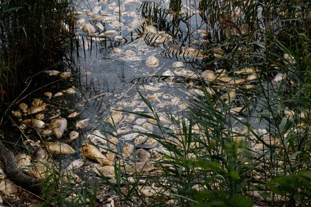 tagreuters.com2022binary_LYNXMPEI7J02K-VIEWIMAGE