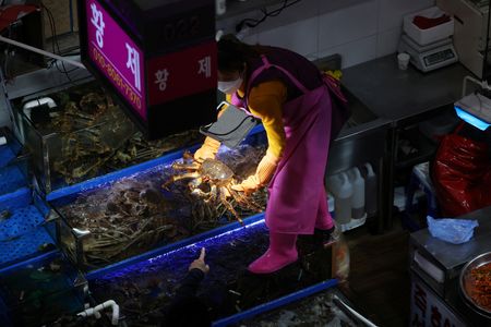 tagreuters.com2022binary_LYNXNPEI370F3-VIEWIMAGE