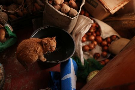 tagreuters.com2023binary_LYNXMPEJ1D0C6-VIEWIMAGE