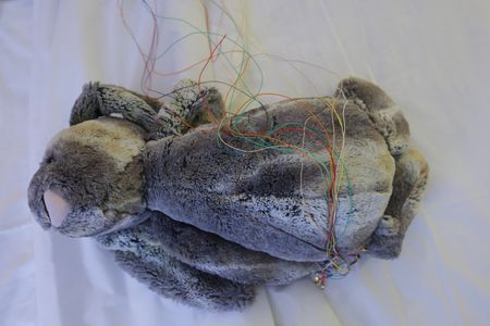 tagreuters.com2023binary_LYNXMPEJ1J0A9-VIEWIMAGE