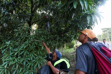 tagreuters.com2023binary_LYNXMPEJ3O0W3-VIEWIMAGE