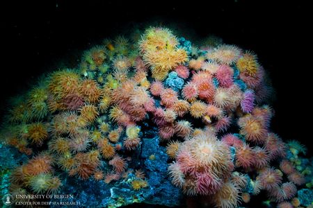 tagreuters.com2023binary_LYNXMPEJB406I-VIEWIMAGE