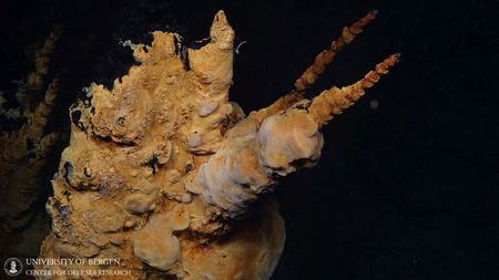 tagreuters.com2023binary_LYNXMPEJB406L-VIEWIMAGE