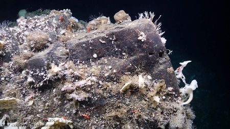 tagreuters.com2023binary_LYNXMPEJB406M-VIEWIMAGE