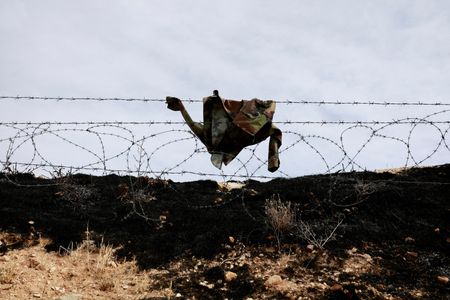 tagreuters.com2024binary_LYNXMPEKBB0I3-VIEWIMAGE