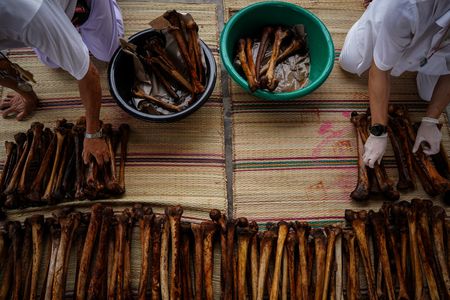 tagreuters.com2024binary_LYNXMPEKBJ0UT-VIEWIMAGE