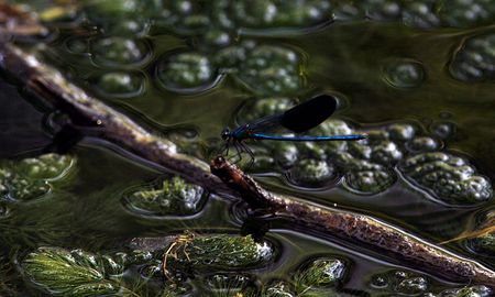 tagreuters.com2025binary_LYNXMPEL070PF-VIEWIMAGE