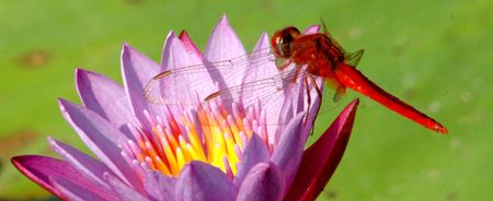 tagreuters.com2025binary_LYNXMPEL070PG-VIEWIMAGE