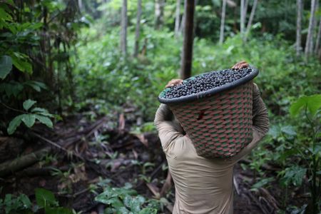 tagreuters.com2025binary_LYNXMPEL0E0L9-VIEWIMAGE