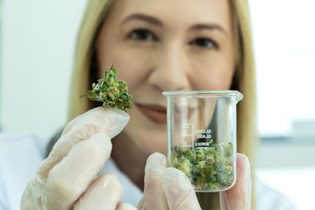 tagreuters.com2025binary_LYNXMPEL1B0PI-VIEWIMAGE