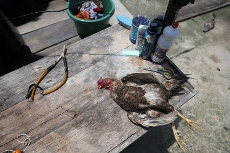 tagreuters.com2025binary_LYNXMPEL2J0PE-VIEWIMAGE