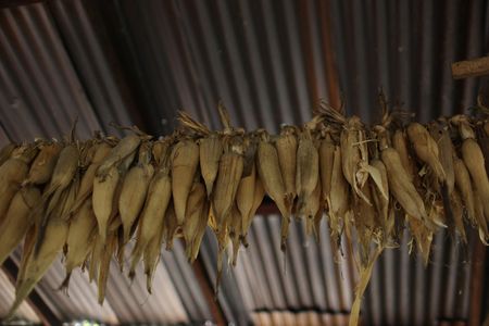 tagreuters.com2025binary_LYNXMPEL2J0PV-VIEWIMAGE