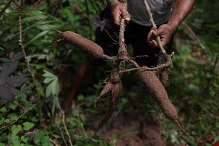 tagreuters.com2025binary_LYNXMPEL2J0QK-VIEWIMAGE