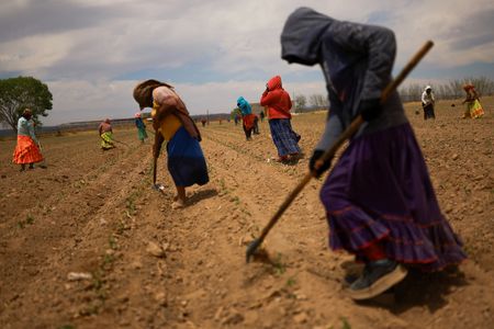 tagreuters.com2025binary_LYNXMPEL3O0UM-VIEWIMAGE