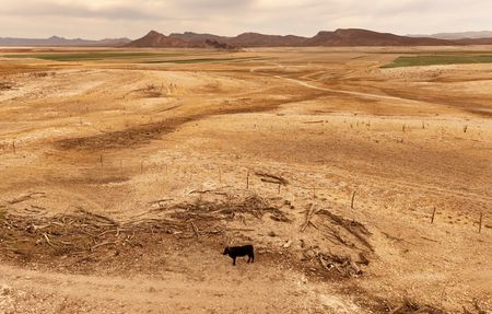 tagreuters.com2025binary_LYNXMPEL3O0UO-VIEWIMAGE