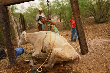 tagreuters.com2025binary_LYNXMPEL3O0UP-VIEWIMAGE