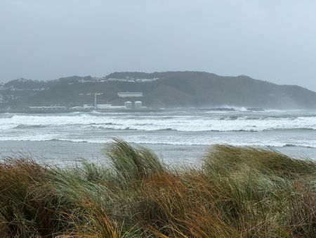 tagreuters.com2025binary_LYNXMPEL401CA-VIEWIMAGE