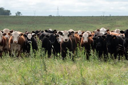 tagreuters.com2025binary_LYNXMPEL4G051-VIEWIMAGE